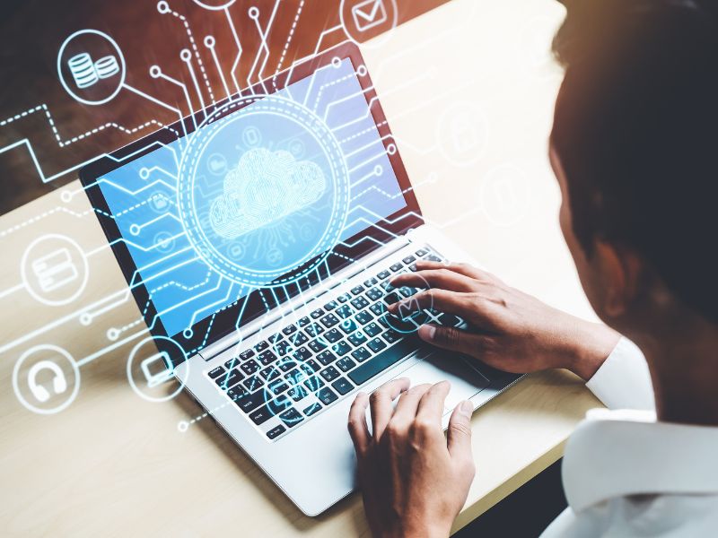 Scopri di più sull'articolo Una guida al data input di BIsmarty