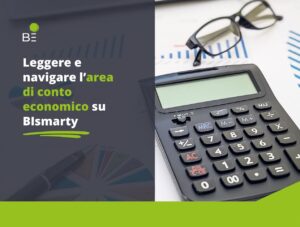 Scopri di più sull'articolo L’area di conto economico di BIsmarty 